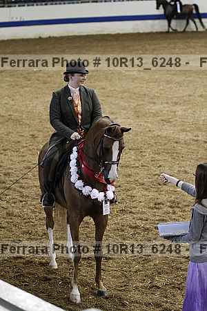Proof Number 10r13_6248