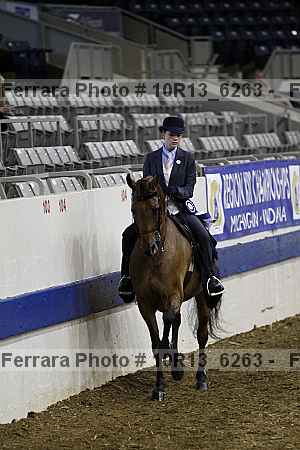 Proof Number 10r13_6263