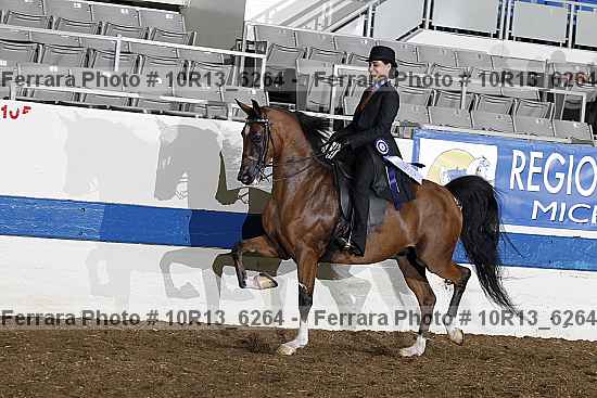 Proof Number 10r13_6264