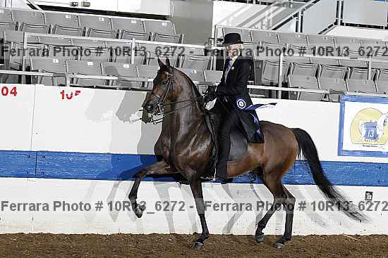 Proof Number 10r13_6272