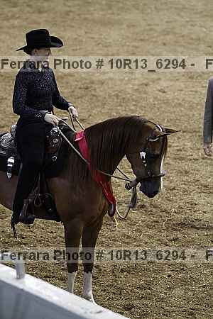 Proof Number 10r13_6294