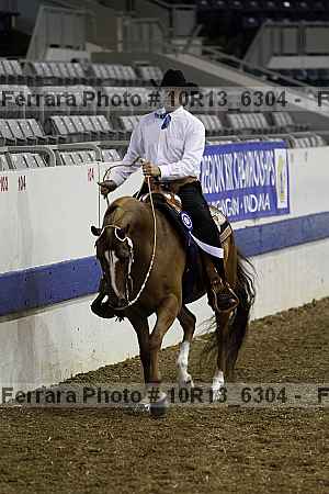 Proof Number 10r13_6304