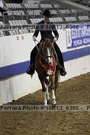 Proof Number 10r13_6308