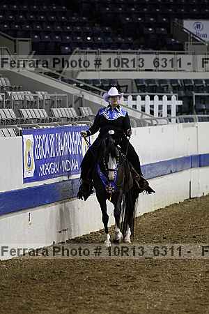 Proof Number 10r13_6311