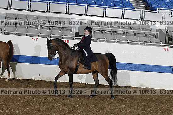 Proof Number 10r13_6329