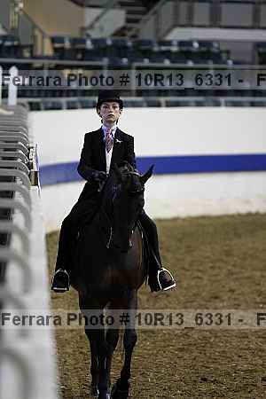 Proof Number 10r13_6331