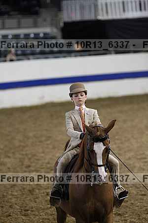 Proof Number 10r13_6337