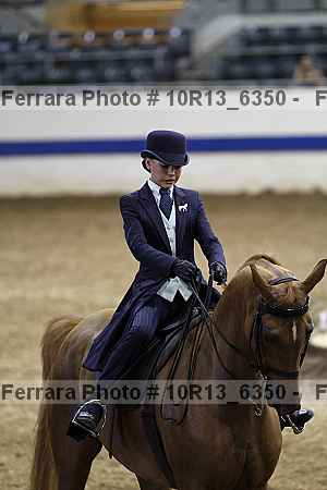 Proof Number 10r13_6350