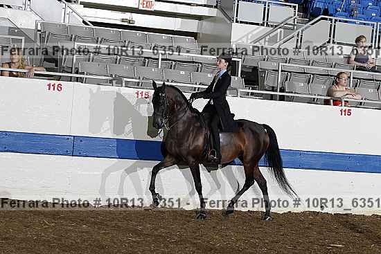 Proof Number 10r13_6351