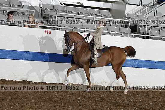 Proof Number 10r13_6352