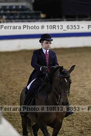 Proof Number 10r13_6353