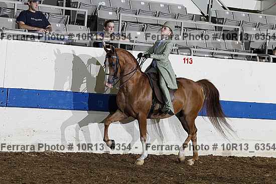 Proof Number 10r13_6354