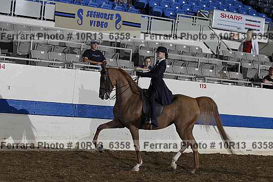 Proof Number 10r13_6358
