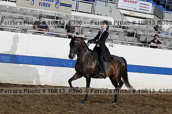 Proof Number 10r13_6360