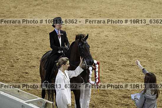 Proof Number 10r13_6362
