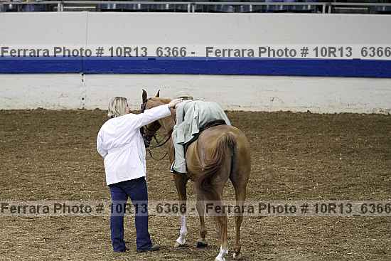 Proof Number 10r13_6366