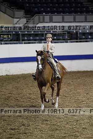 Proof Number 10r13_6377