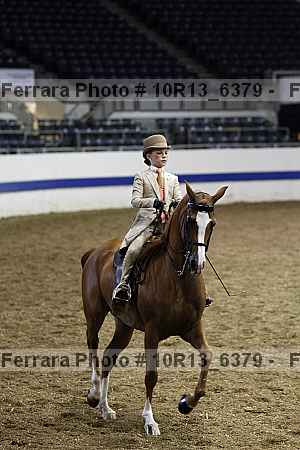 Proof Number 10r13_6379