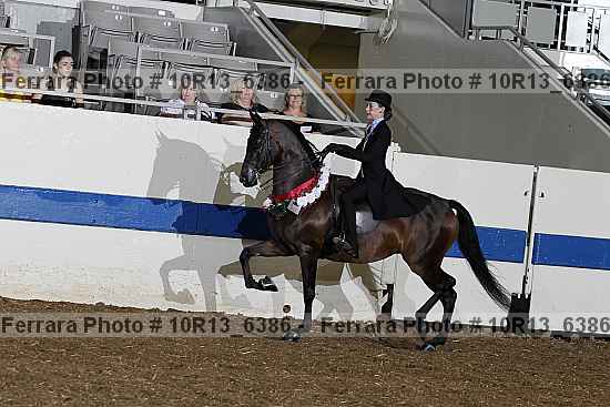 Proof Number 10r13_6386