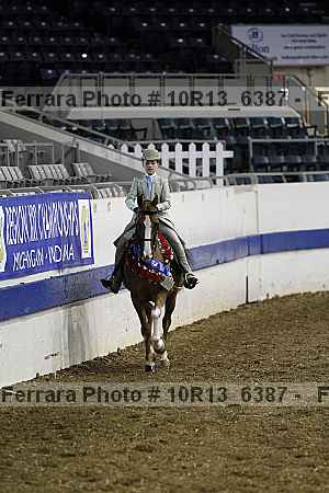 Proof Number 10r13_6387
