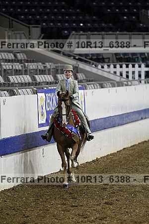 Proof Number 10r13_6388