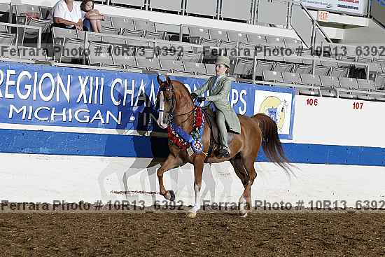 Proof Number 10r13_6392