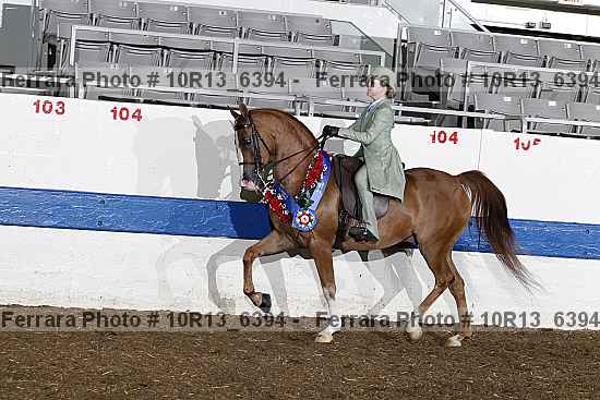 Proof Number 10r13_6394