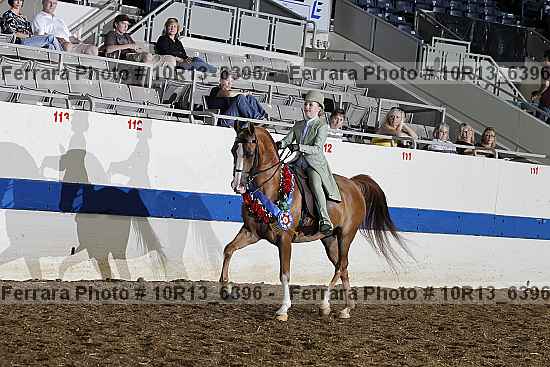 Proof Number 10r13_6396
