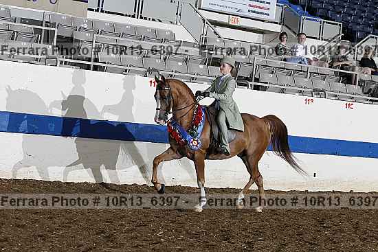 Proof Number 10r13_6397