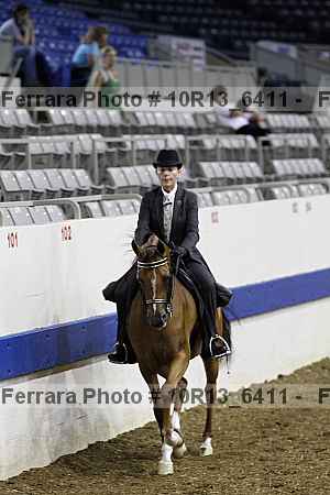 Proof Number 10r13_6411