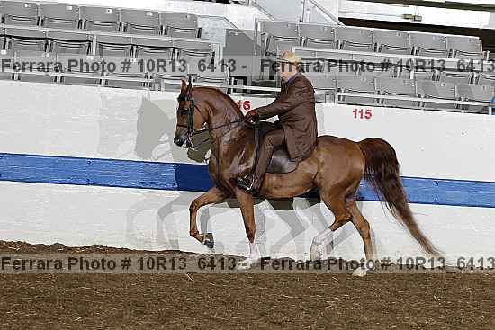Proof Number 10r13_6413