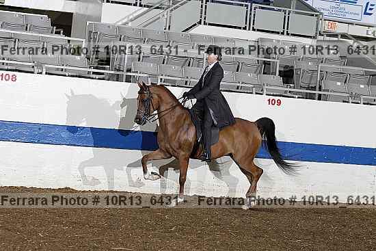 Proof Number 10r13_6431