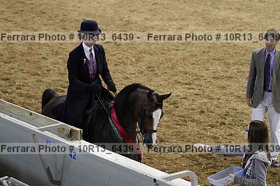 Proof Number 10r13_6439