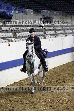 Proof Number 10r13_6446