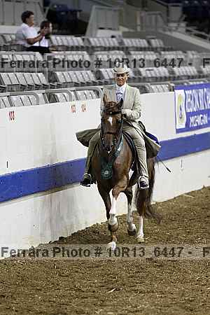 Proof Number 10r13_6447