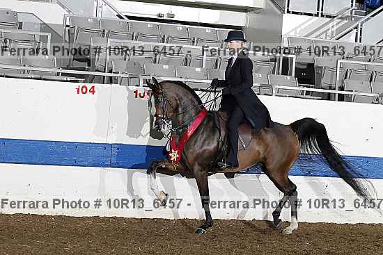 Proof Number 10r13_6457