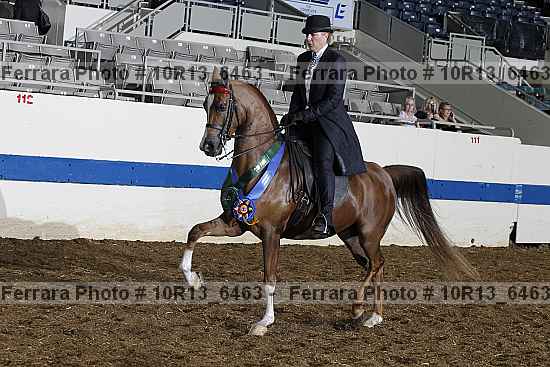 Proof Number 10r13_6463