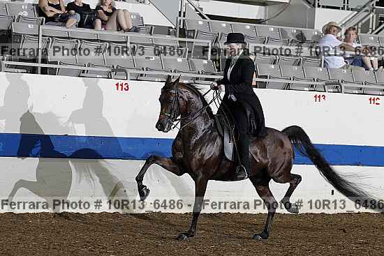Proof Number 10r13_6486