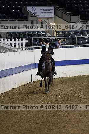 Proof Number 10r13_6487
