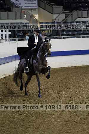 Proof Number 10r13_6488