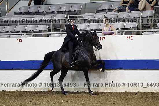Proof Number 10r13_6493