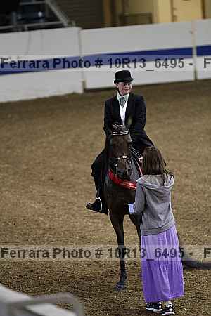 Proof Number 10r13_6495