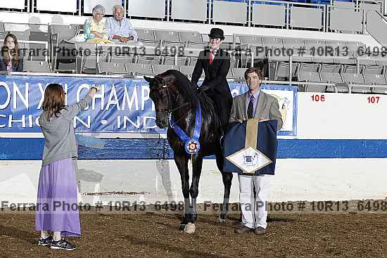 Proof Number 10r13_6498