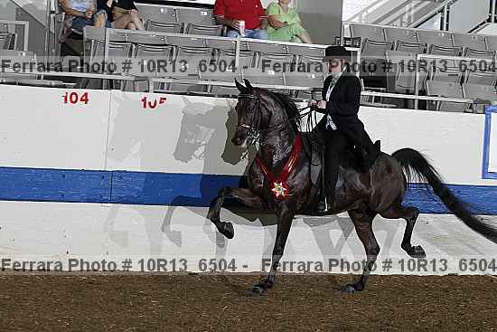 Proof Number 10r13_6504