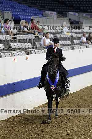 Proof Number 10r13_6506