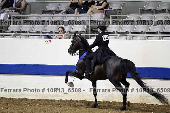 Proof Number 10r13_6508
