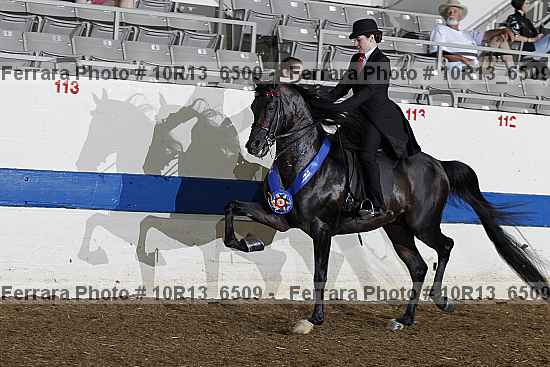Proof Number 10r13_6509