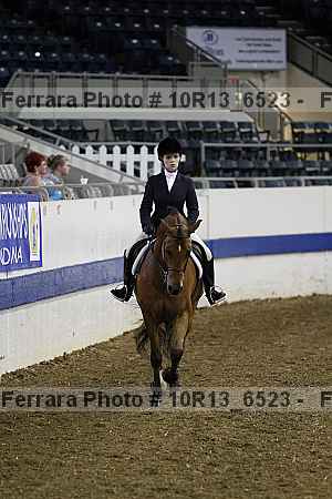 Proof Number 10r13_6523