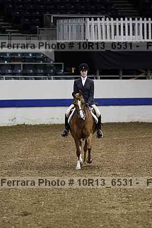 Proof Number 10r13_6531