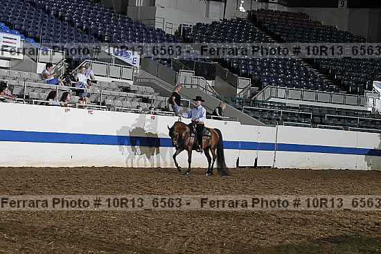Proof Number 10r13_6563
